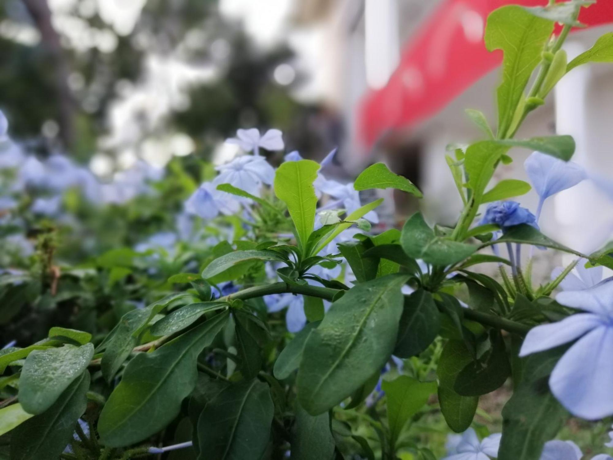 B&B Sa Scraria Meana Sardo Екстериор снимка